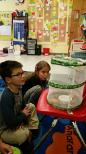 A visit from the 1/2 class Butterflies