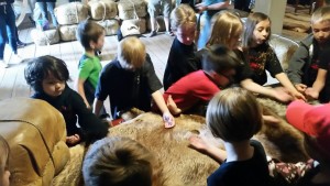 Fur trade