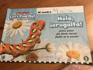 It was so great to see the butterflies emerge! Gracias Miss Marci!