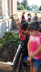 Habitat search