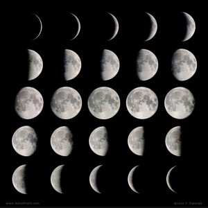 We continue to study the phases of the moon. Please have your child look for the moon this weekend and see the changes.