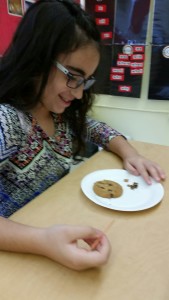 Archaeologist digging for valuable chocolate chip artifacts